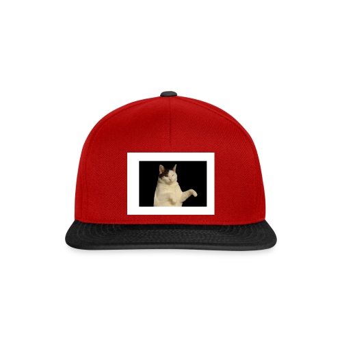 Kitty cat - Snapback cap