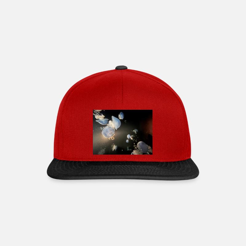 Bildshsj - Snapback Cap - Rot/Schwarz