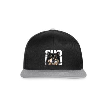 NASSU Lappari 002 - Snapback Cap - black/grey - Front