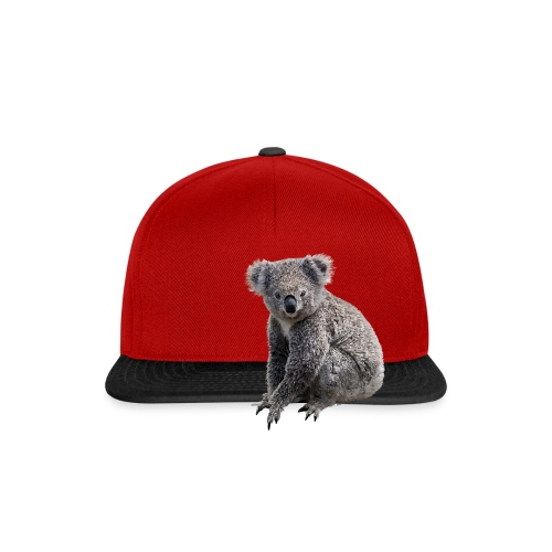 Koala - Snapback Cap