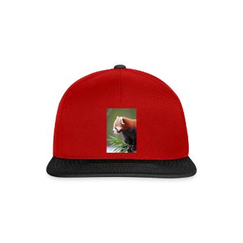 kleiner Panda IG32169 - Snapback Cap - Rot/Schwarz - Vorne
