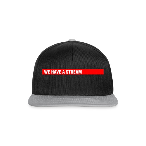 Stream Logo Gross - Snapback Cap