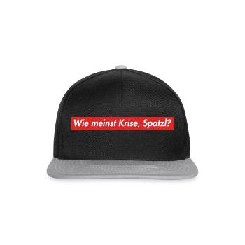 Zitate vom Franze - Bayern- bavaria - Snapback Cap - Schwarz/Grau - Vorne