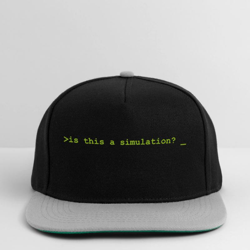 Is this a simulation Programming Computer Science Snapback Cap