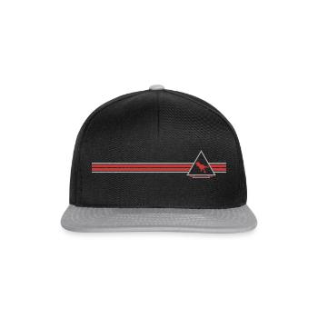 T-Rex - Snapback Cap - Schwarz/Grau - Vorne