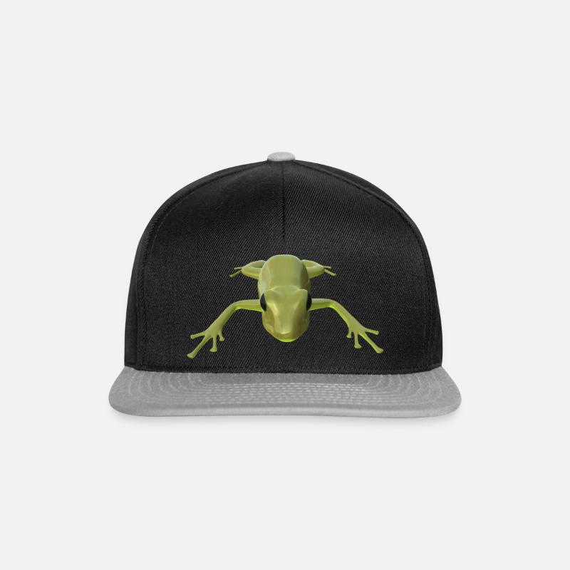 Frog - Snapback Cap - black/grey