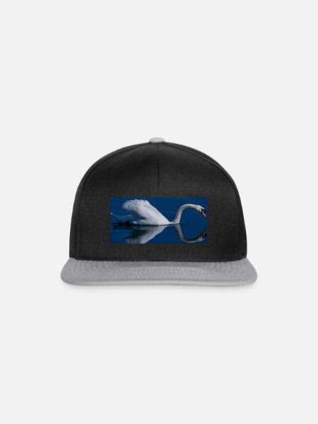 WhiteSwan - Snapback Cap - Schwarz/Grau