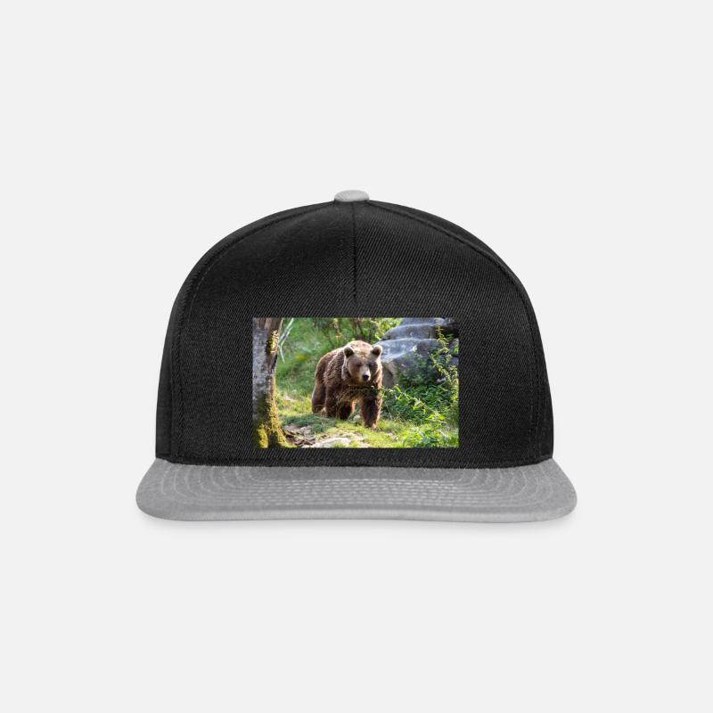 ours brun - Casquette snapback - noir/gris