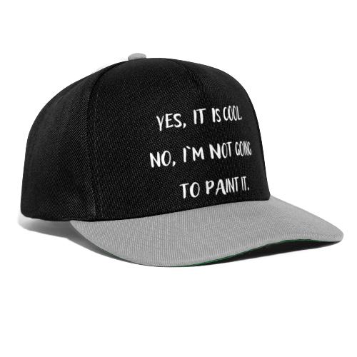 YES IT IS COOL. NO, I`M NOT GOING TO PAINT IT. - Snapback Cap