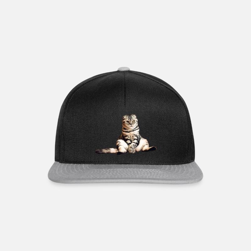 Scottish Fold Cat StickerSweet - Snapback Cap - black/grey
