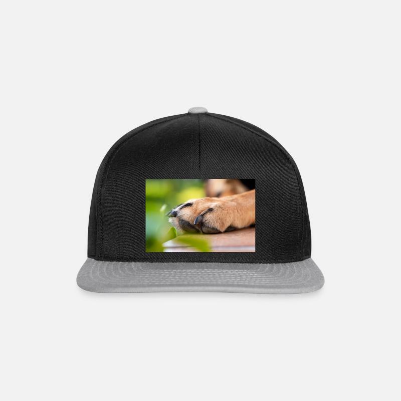 Hundepfote - Snapback Cap - Schwarz/Grau