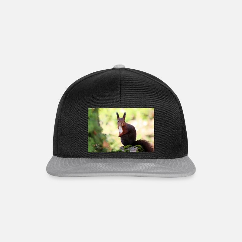 Eichhörnchen - Snapback Cap - Schwarz/Grau