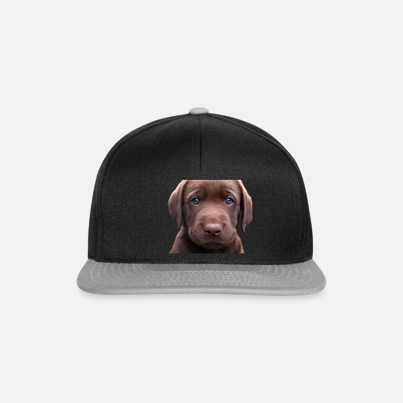 Labrador - Snapback Cap - Schwarz/Grau
