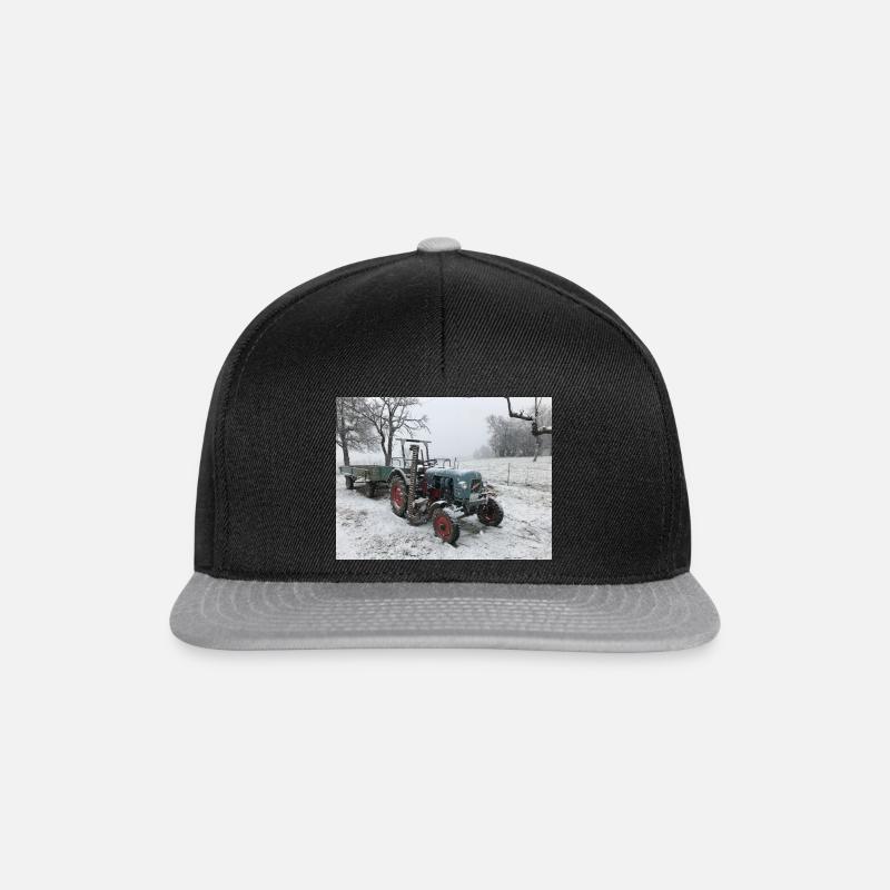 Eicher - Snapback Cap - Schwarz/Grau