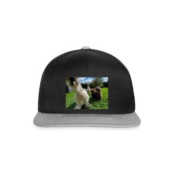 Les poulets en soie sont les meilleurs - Casquette snapback - noir/gris - Devant