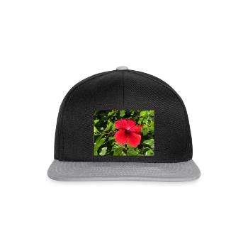 Hibiskus - Snapback Cap - Schwarz/Grau - Vorne