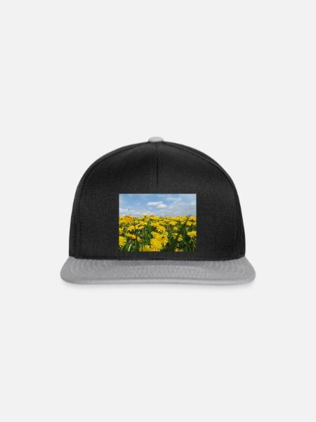 Ich Löwe, hab BISS - Snapback Cap - Schwarz/Grau
