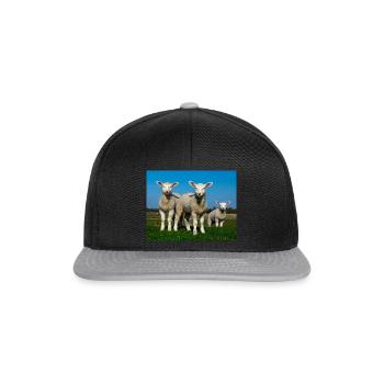 agneaux dans les pâturages - Casquette snapback - noir/gris - Devant