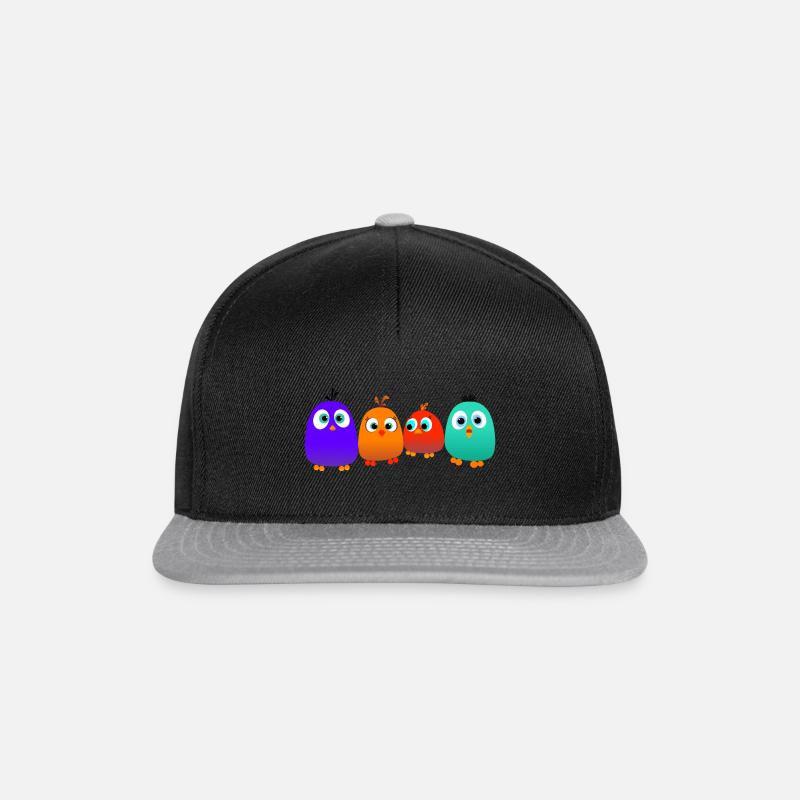 Birds - Snapback Cap - Schwarz/Grau