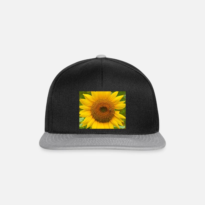 BeeBee - Snapback Cap - Schwarz/Grau