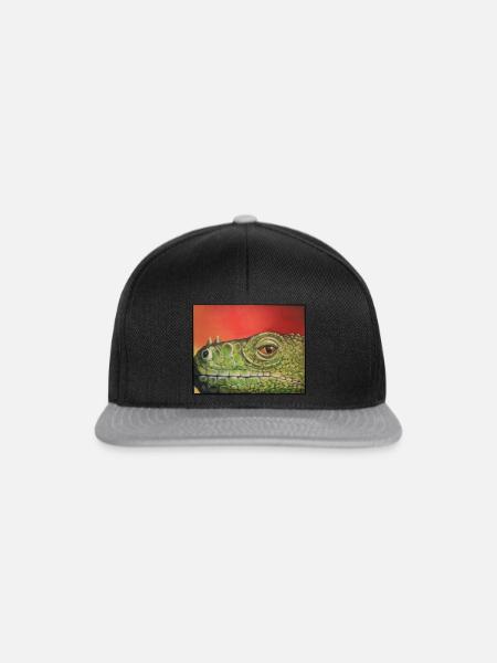 Krokodil-Zyklus - Snapback Cap - Schwarz/Grau