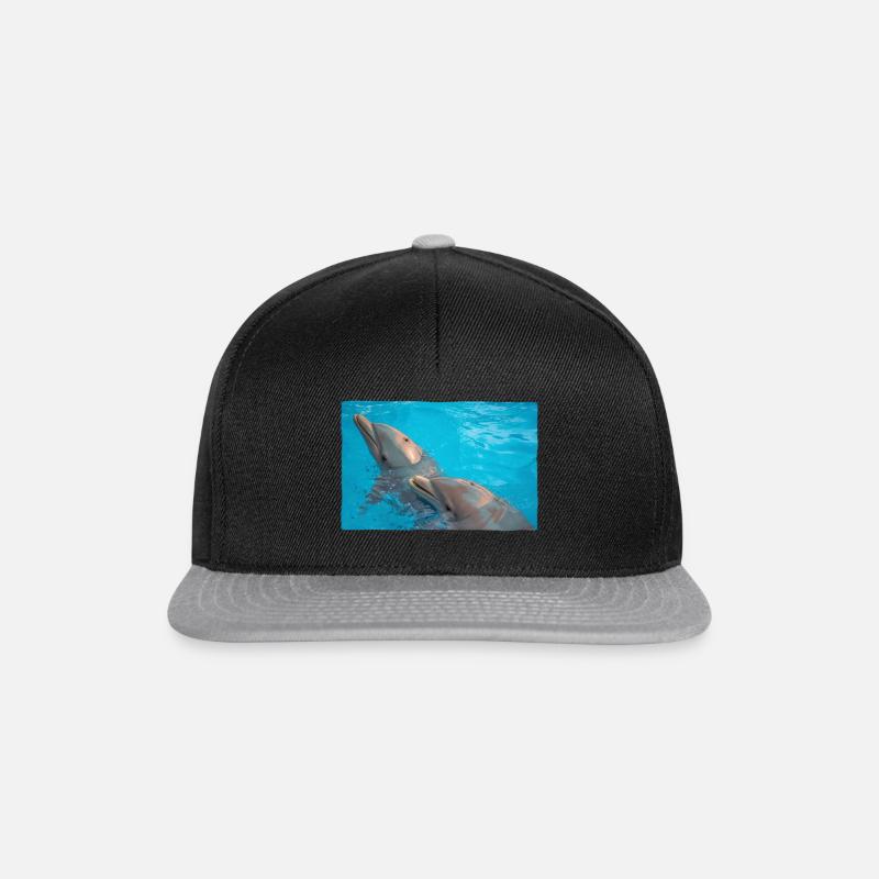 Delfine - Snapback Cap - Schwarz/Grau