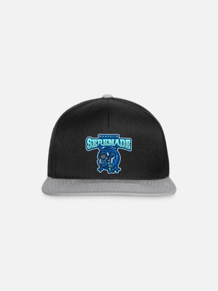 Mandolin Serenade - Snapback Cap - Schwarz/Grau