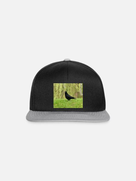 Crow Enthusiast - Snapback Cap - black/grey
