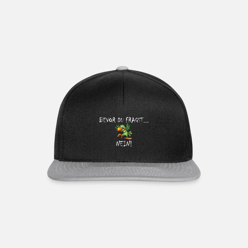 Bevor du fragst... Nein! - Snapback Cap - Schwarz/Grau