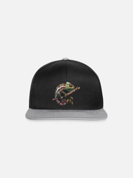 Chamelion Grafik - Snapback Cap - Schwarz/Grau