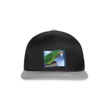 Perruche à front orange - Casquette snapback - noir/gris - Devant