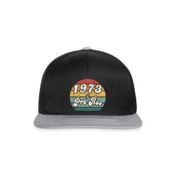 1973 # Vintage Pro Roe - Casquette snapback - noir/gris - Devant