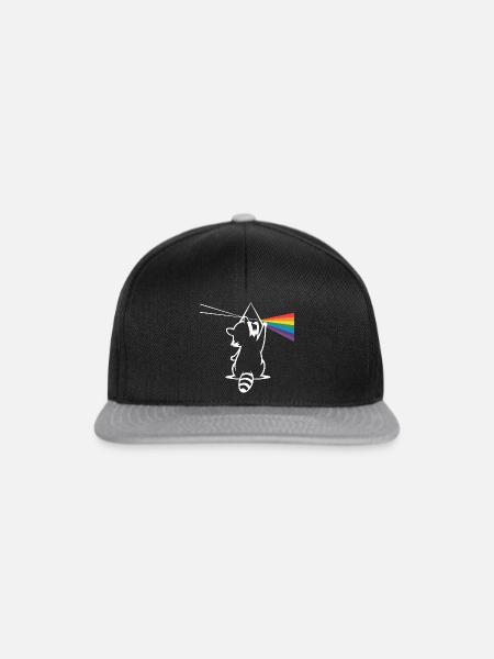 Waschbär Mit Prisma Und Regenbogen Spektrum - Snapback Cap - Schwarz/Grau