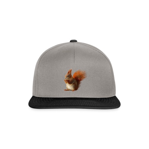 Eichhörnchen - Snapback Cap