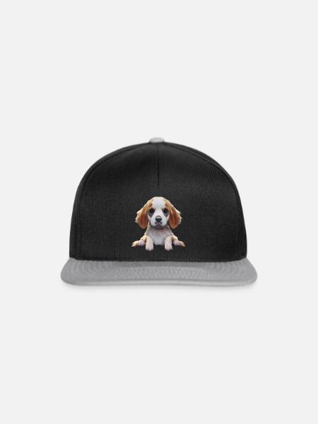 English Springer Spaniel - Snapback Cap - Schwarz/Grau