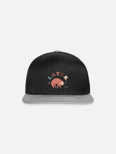 Later Faultier - Snapback Cap - Schwarz/Grau