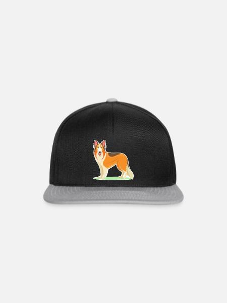 Silken Windhound - Snapback Cap - Schwarz/Grau