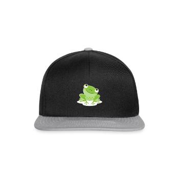 grenouille - Casquette snapback - noir/gris - Devant