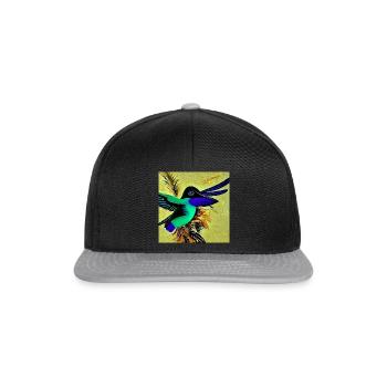 ColibriArtCollection 27 - Snapback Cap - Schwarz/Grau - Vorne