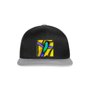 ColibriArtCollection 16 - Snapback Cap - Schwarz/Grau - Vorne