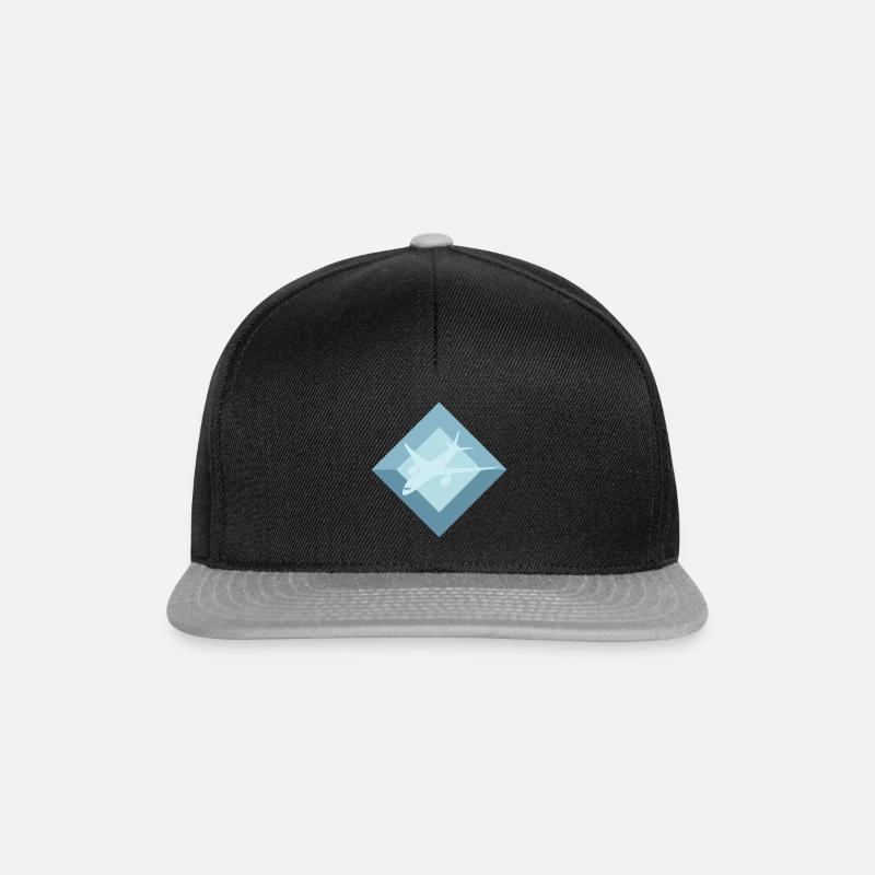 Aerospace Aerospace Flugzeug - Snapback Cap - Schwarz/Grau
