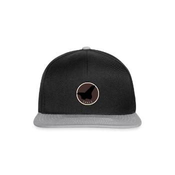 Aviation Flying Aerospace - Snapback Cap - black/grey - Front
