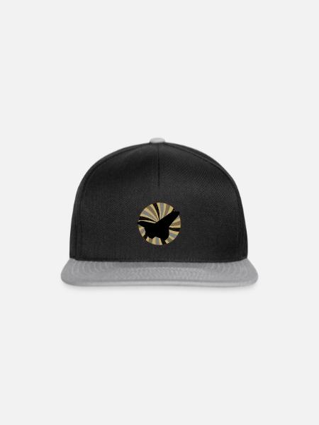 Pilot Pilot - Snapback Cap - Schwarz/Grau