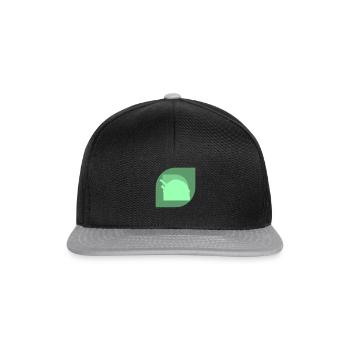 Astronomie Physique Physique - Casquette snapback - noir/gris - Devant
