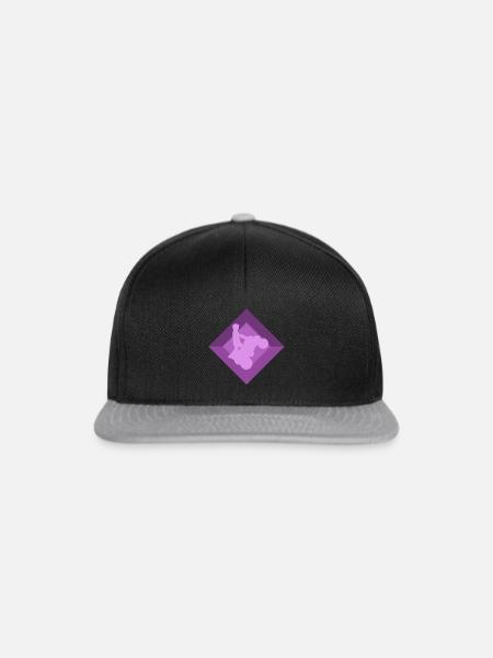 Quad Stuntman Stuntman - Snapback Cap - Schwarz/Grau