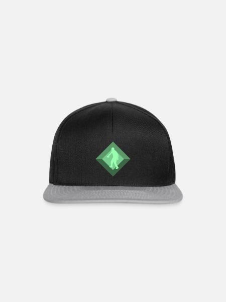 Discgolf Sportart Discgolf - Snapback Cap - Schwarz/Grau