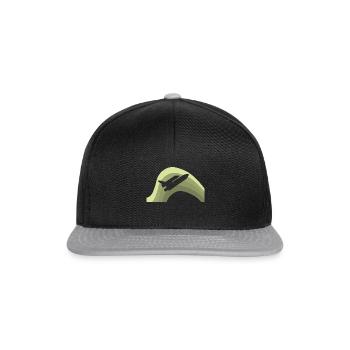 Aviation Aerospace Flying - Snapback Cap - black/grey - Front