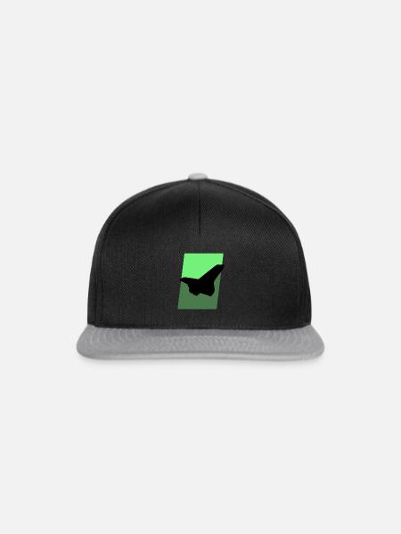Aerospace Engineering Fliegen Fliegen - Snapback Cap - Schwarz/Grau