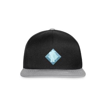 Fotografie Fotografieren Bild - Snapback Cap - Schwarz/Grau - Vorne