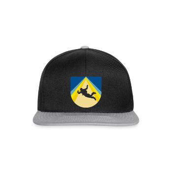 Skydive Parachuting Flugsport - Snapback Cap - Schwarz/Grau - Vorne